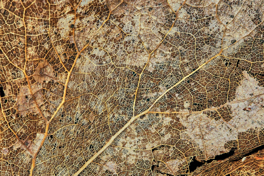 Geodatos España